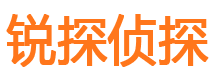 武江市私人侦探